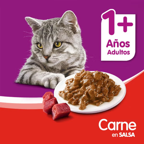 WHISKAS CAJA 12 UNIDADES POUCH SABOR CARNE 85 GR