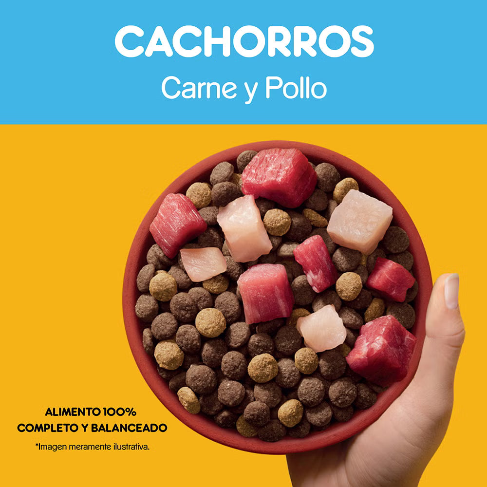PEDIGREE CACHORRO CARNE Y POLLO 21 KG