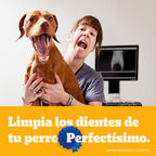 PEDIGREE DENTASTIX RAZA MEDIANA BOLSA 7 UNID