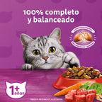 WHISKAS ADULTO SABOR CARNE 10 KG