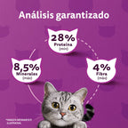 WHISKAS ADULTO SABOR CARNE 10 KG