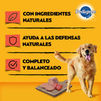 PEDIGREE LATA ADULTO SABOR CARNE 280 GR